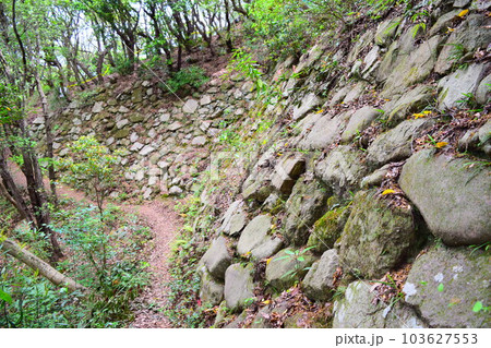 【国指定史跡】【続日本百名城】引田城跡 103627553