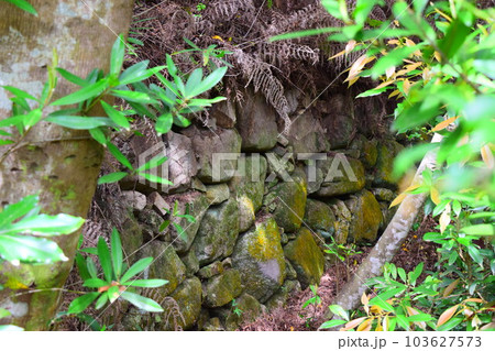 【国指定史跡】【続日本百名城】引田城跡 103627573