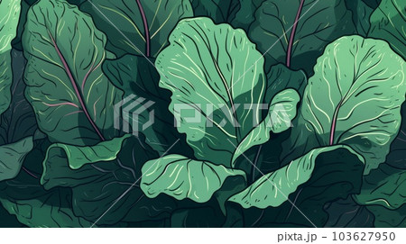 Fresh Organic Collard Greens Vegetable - Stock Illustration [103626018]  - PIXTA