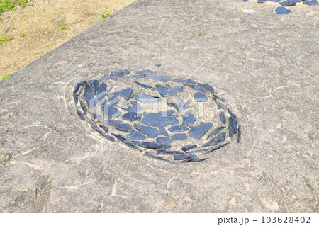 【国指定史跡】池上曽根遺跡 【国指定史跡】池上曽根遺跡 103628402