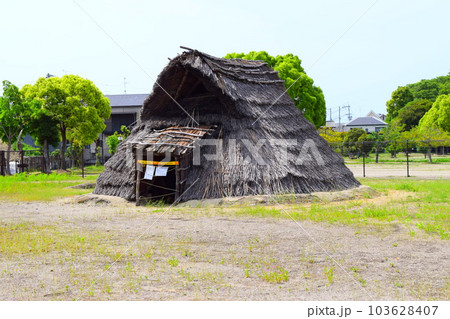 【国指定史跡】池上曽根遺跡 103628407