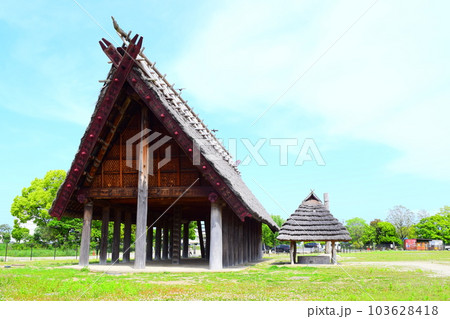 【国指定史跡】池上曽根遺跡 103628418