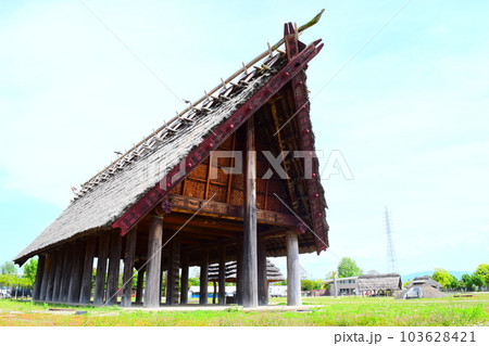 【国指定史跡】池上曽根遺跡 103628421