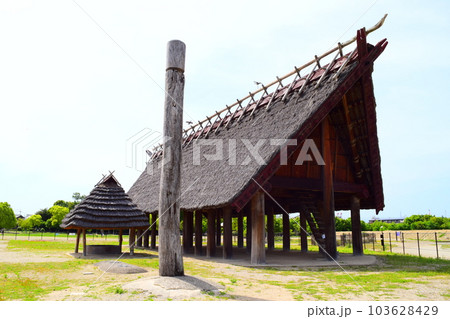 【国指定史跡】池上曽根遺跡 103628429