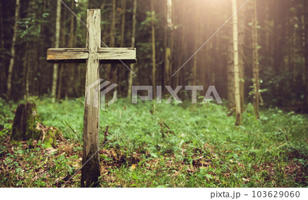 Cross in forest . Easter background concept and The crosses sign. 103629060