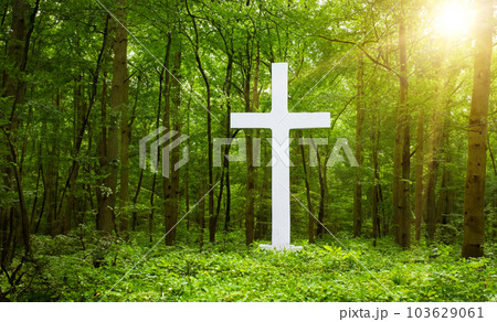 Cross in forest . Easter background concept and The crosses sign. Cross in forest . Easter background concept and The crosses sign. 103629061