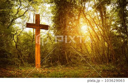 Cross in forest . Easter background concept and The crosses sign. 103629063