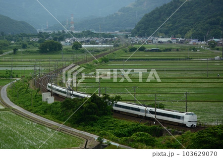 初夏の近江路を走る681系特急しらさぎ (東海道本線 米原 - 醒ヶ井, 2023年6月) 初夏の近江路を走る681系特急しらさぎ (東海道本線 米原 - 醒ヶ井, 2023年6月) 103629070