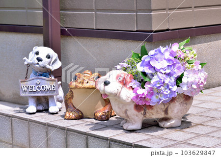 ウェルカム 103629847
