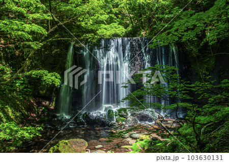 逹沢不動滝 逹沢不動滝 103630131