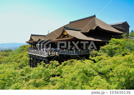 世界遺産 京都清水寺本堂(清水の舞台) 世界遺産 京都清水寺本堂(清水の舞台) 103630136