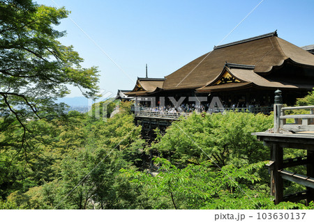 世界遺産 京都清水寺本堂(清水の舞台) 世界遺産 京都清水寺本堂(清水の舞台) 103630137