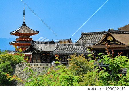 世界遺産 新緑の音羽山清水寺全景 世界遺産 新緑の音羽山清水寺全景 103630155