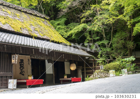 嵯峨野の鳥居本の朝の風景 嵯峨野の鳥居本の朝の風景 103630231
