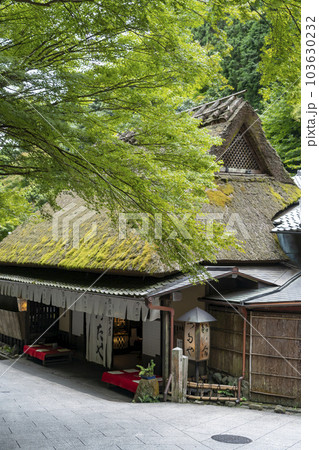 嵯峨野の鳥居本の朝の風景 103630232