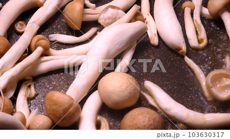 しめじ炒め 103630317