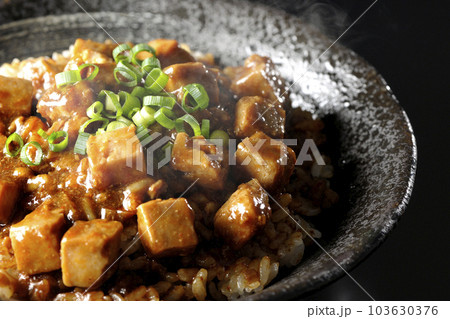 小ねぎとお豆腐たっぷりピリ辛熱々麻婆豆腐丼を黒背景で撮影 小ねぎとお豆腐たっぷりピリ辛熱々麻婆豆腐丼を黒背景で撮影 103630376
