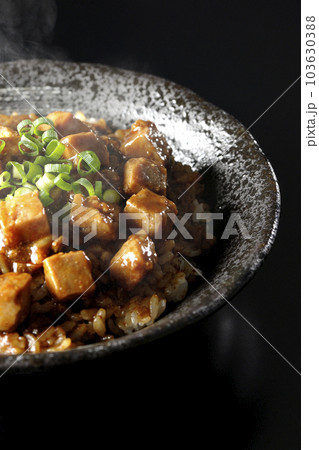 小ねぎとお豆腐たっぷりピリ辛熱々麻婆豆腐丼を黒背景で撮影 103630388