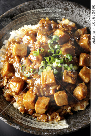 小ねぎとお豆腐たっぷりピリ辛熱々麻婆豆腐丼を黒背景で俯瞰撮影 小ねぎとお豆腐たっぷりピリ辛熱々麻婆豆腐丼を黒背景で俯瞰撮影 103630490