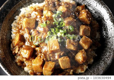 小ねぎとお豆腐たっぷりピリ辛熱々麻婆豆腐丼を黒背景で俯瞰撮影 103630494