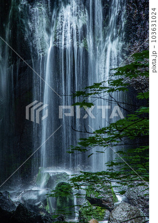 逹沢不動滝 103631024