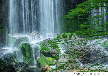 逹沢不動滝 103631028