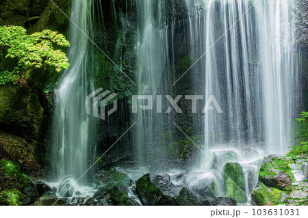 逹沢不動滝 103631031