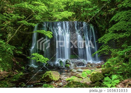 逹沢不動滝 103631033