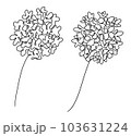 大きな花の一筆書き 103631224