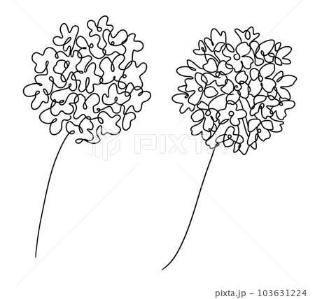 大きな花の一筆書き 103631224