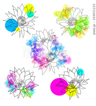 サボテンの花シンプルイラストデザイン 103631225