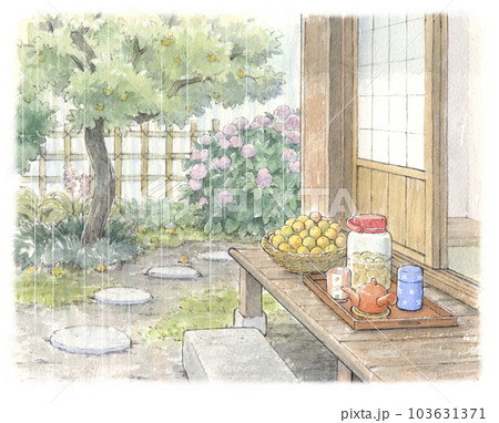 日本の民家の梅雨の縁側（庭の梅の収穫） 103631371