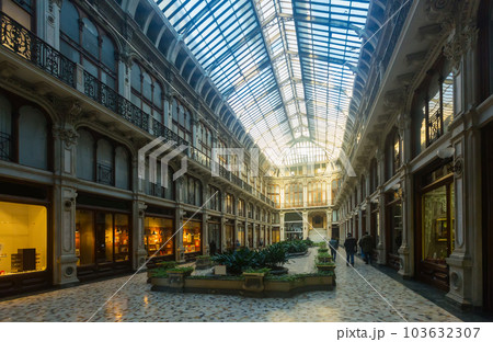 View historical building Gallery Subalpina, Turin, Italy 103632307