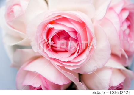 Top view of Pierre De Ronsand on white wooden table background. 103632422