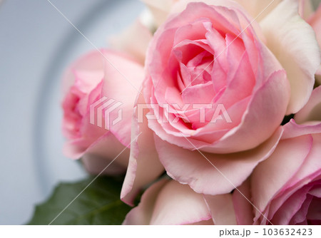 Top view of Pierre De Ronsand on white wooden table background. 103632423