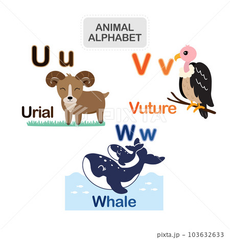 English alphabet with cute animals vector illustration. 103632633