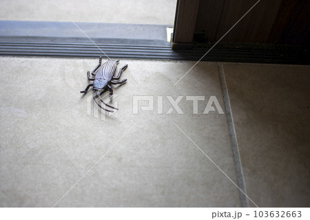 害虫が玄関から侵入するイメージ 害虫が玄関から侵入するイメージ 103632663