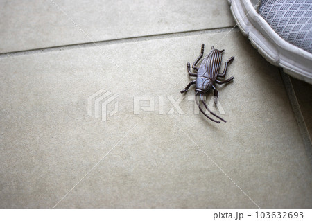 害虫が玄関から侵入するイメージ 害虫が玄関から侵入するイメージ 103632693