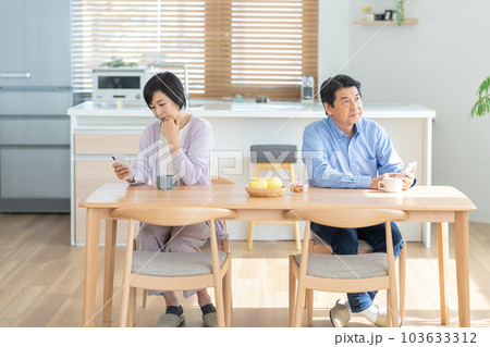 喧嘩する中高年夫婦　ミドル世代の夫婦　中高年の夫婦 103633312