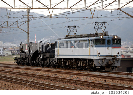 東海道線を走るEF652138牽引シキ801B2回送列車 103634202