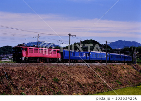 2001年　鹿児島本線を行くED7694ブルートレインさくら・はやぶさ 103634256