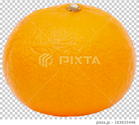 Fresh orange fruit. 103635446