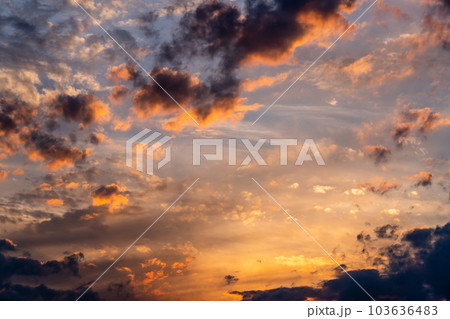 夏　光芒　夕焼　ゴールデンアワー 103636483