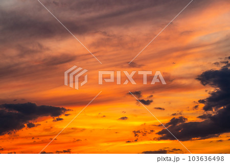 夏　光芒　夕焼　ゴールデンアワー 103636498