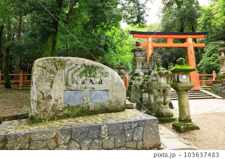 世界遺産　春日大社参道　二の鳥居 103637483