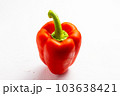 パプリカ白背景 103638421