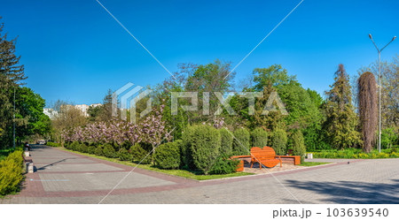 Alleys in the Victory park in Odessa, Ukraine. 103639540