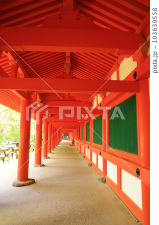 世界遺産　春日大社　西回廊 103639558