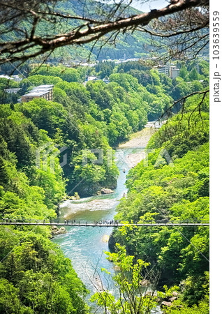 栃木県日光市楯岩展望台から見た鬼怒楯岩大吊橋 栃木県日光市楯岩展望台から見た鬼怒楯岩大吊橋 103639559