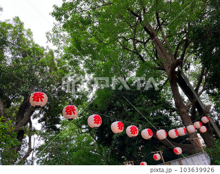 神社の夏祭りの提灯 103639926